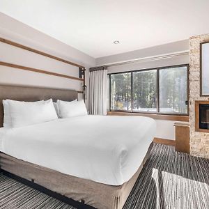 Suite de 1 Dormitorio y Cama King